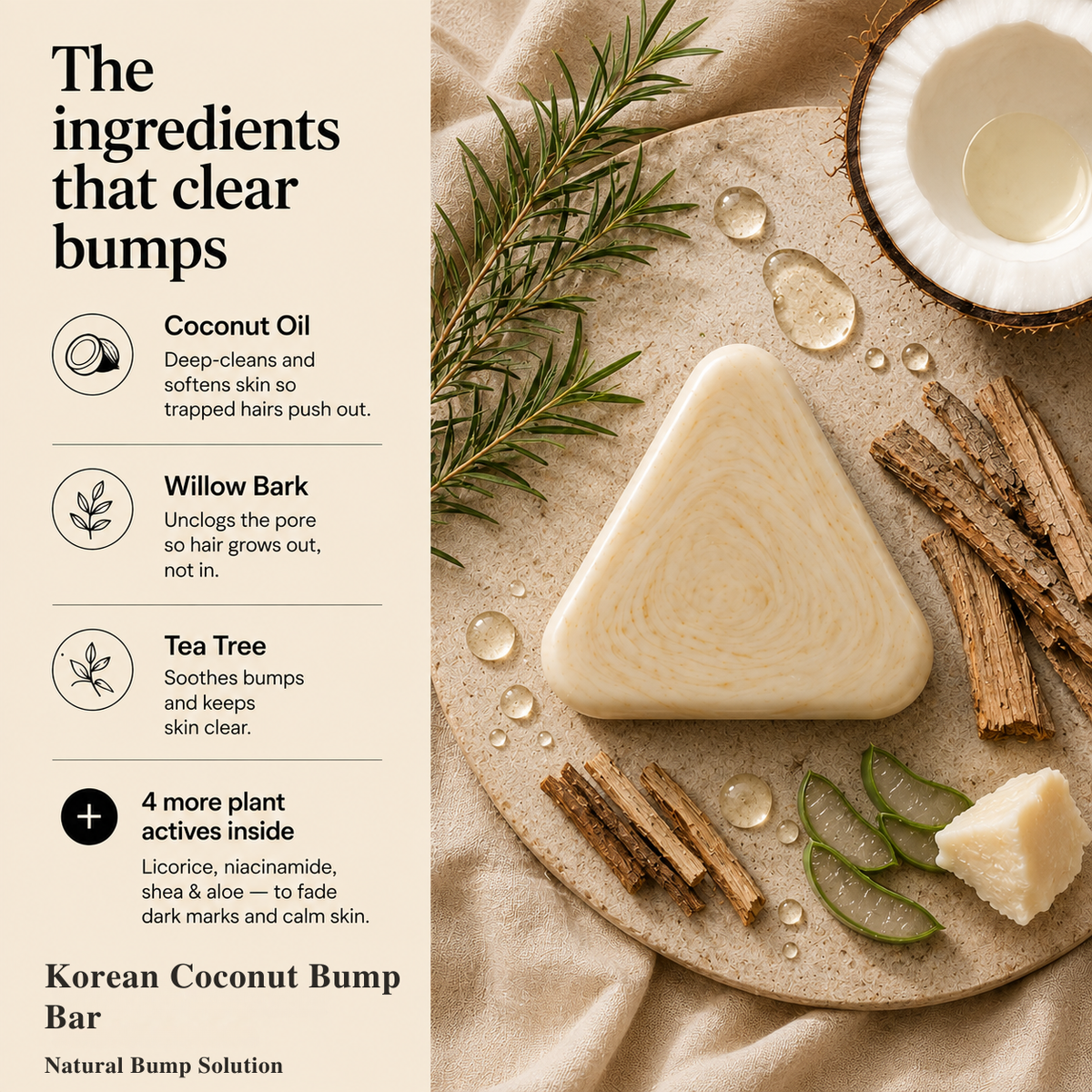 Korean Coconut Bump Bar